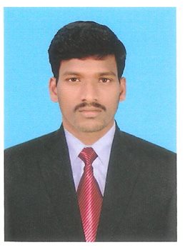Mr. Govindarajan S